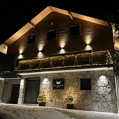 Stoklosowka Ski-in Ski-out Villa